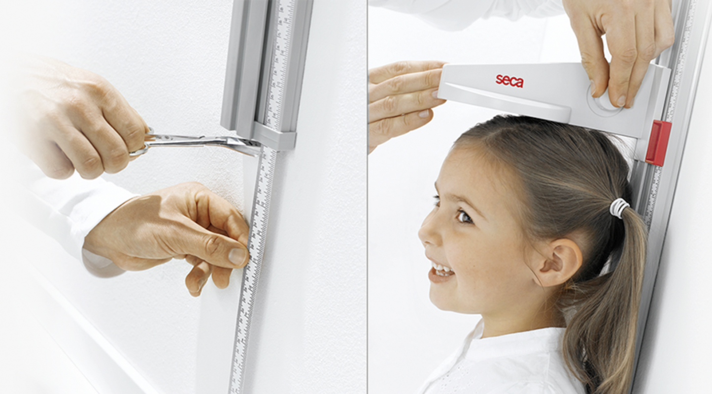 Seca 216 Height measure